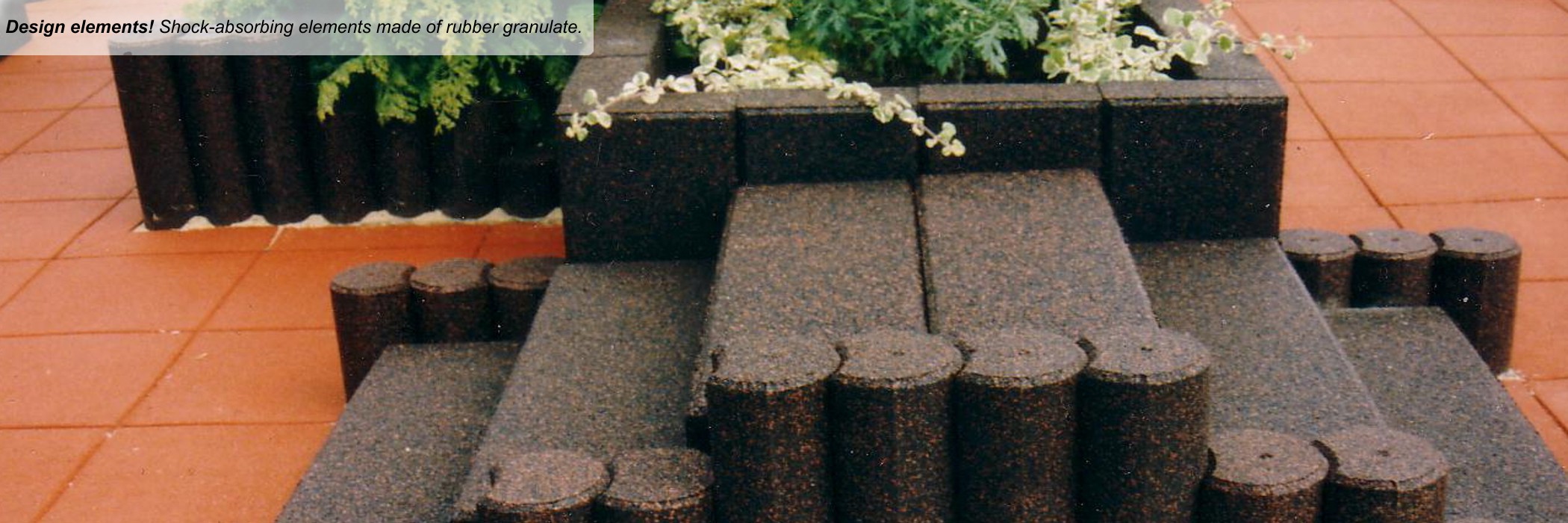 White and green plants in a dark edging and a red flooring